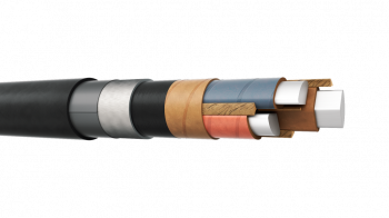 ЦАСБлШв 3x95 (ож)